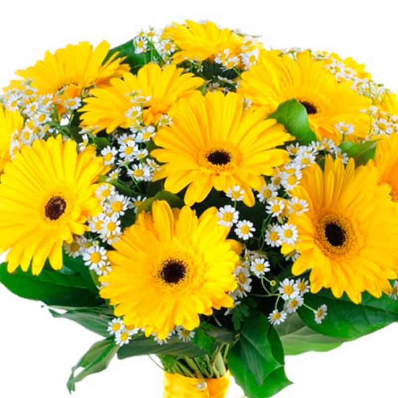 Букет из гербер и танацетума "Солнечный луг" маленький